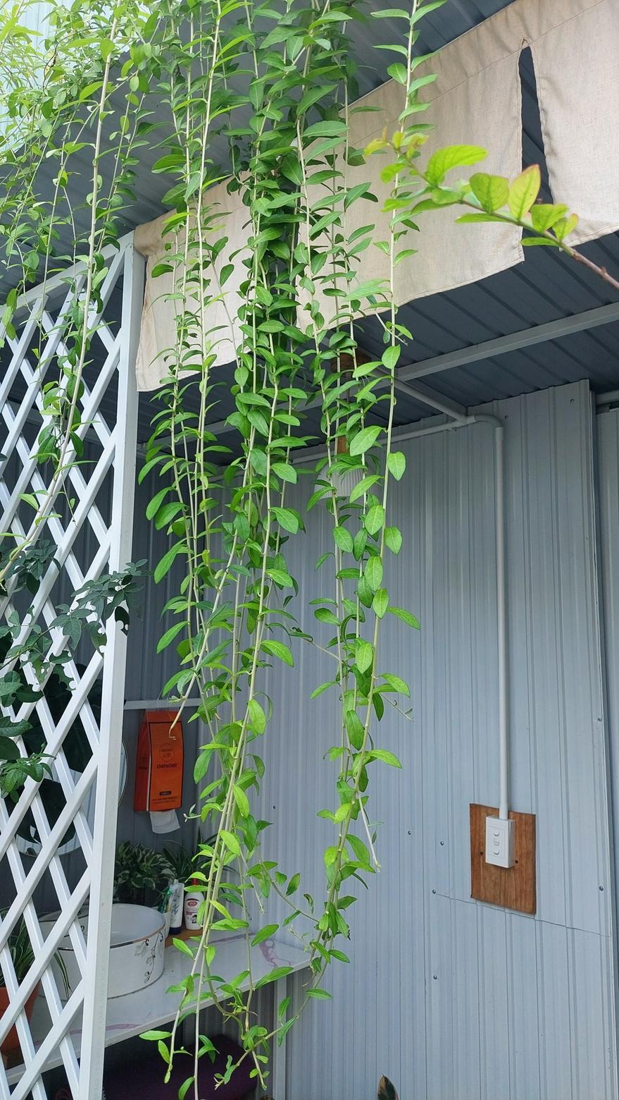 Gửi em người,con gái anh thương